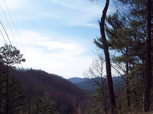 5 Long Branch Rd, Marble, NC 28905