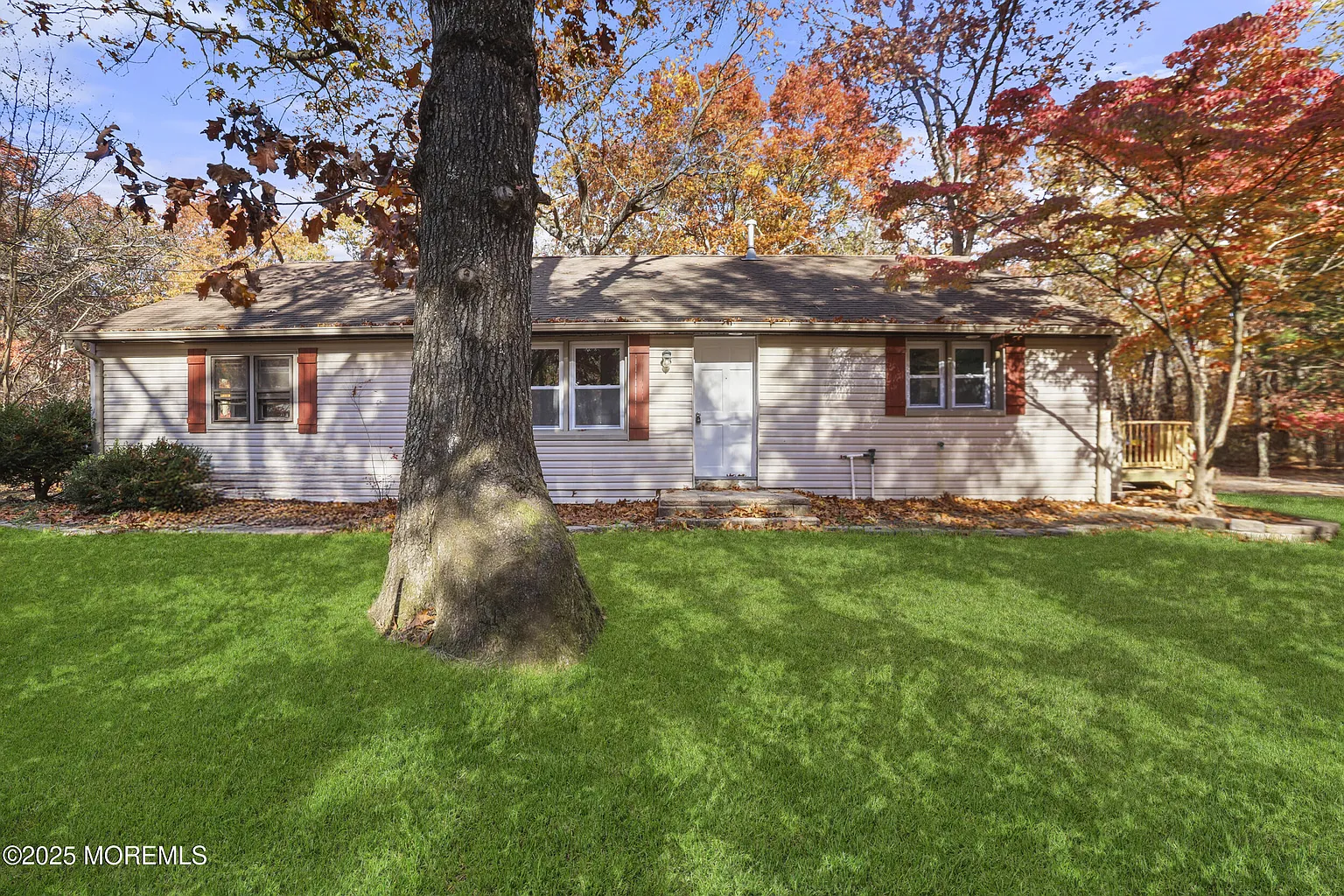 31 Rappleyea Road photo 1