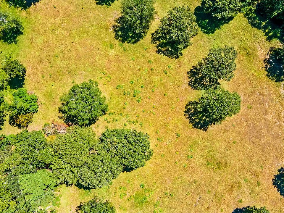 717 Private Road 3398, Big Sandy, TX 75755 MLS 20423024 Zillow