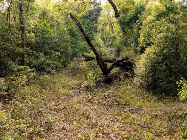 0 NW 177th Pl #3, High Springs, FL 32643