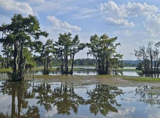 32364 Tupelo Rd, Dozier, AL 36028