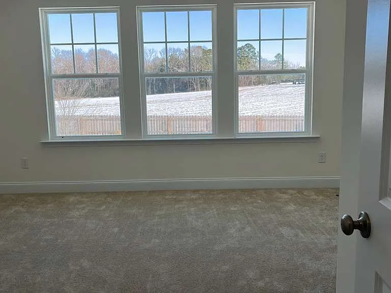 54 Amaryllis Ln — Photo 23