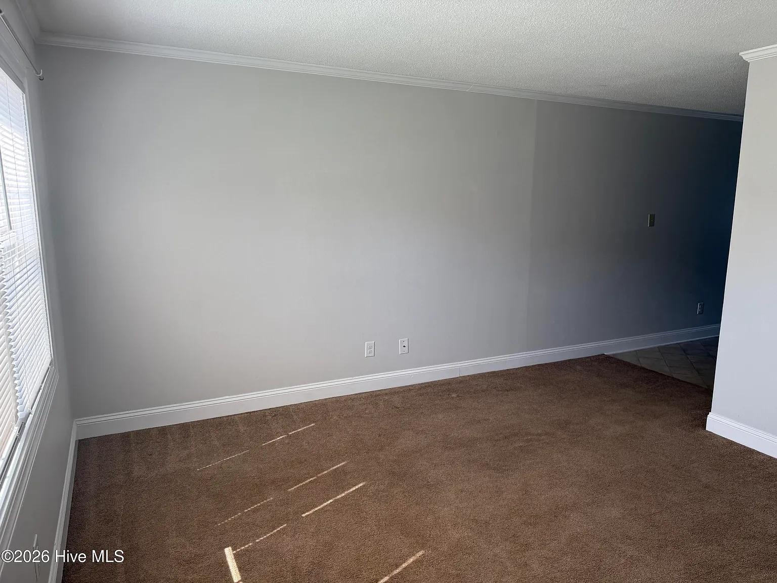 2 bed, 1.0 bath, 800 sqft, $1,100 — Photo 2