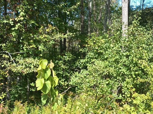 Pierce St, Wakefield, MI 49968