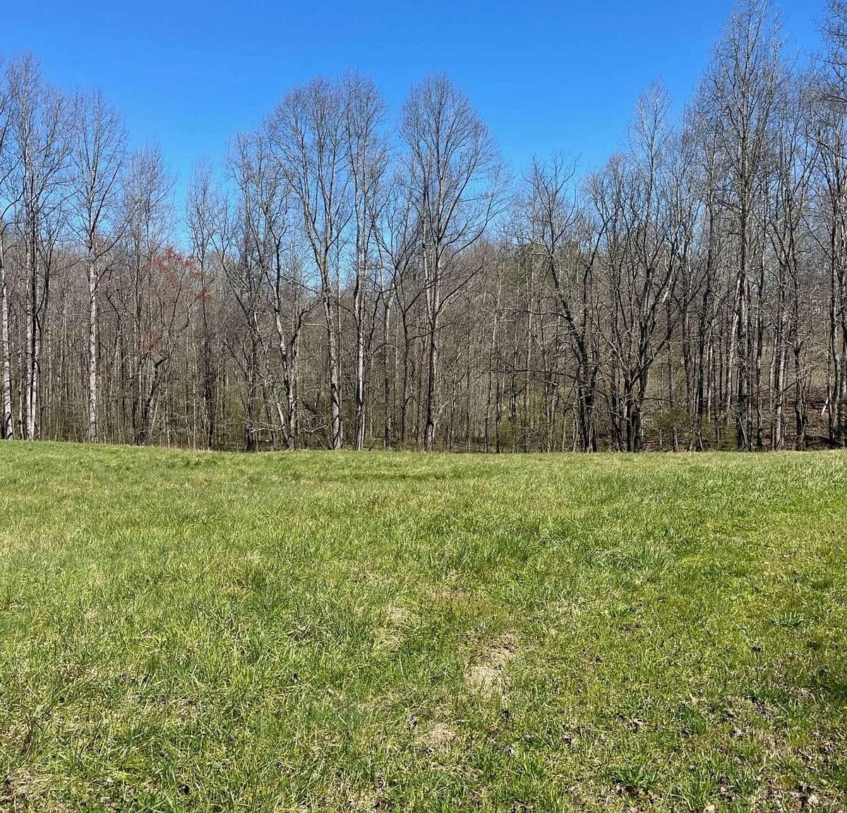 6560 Old Dahlonega Hwy, Dahlonega, GA 30533 Zillow