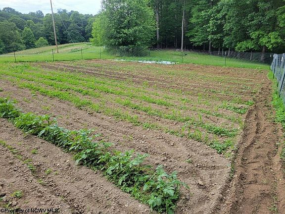 4th image of 540 Cherry Run Rd