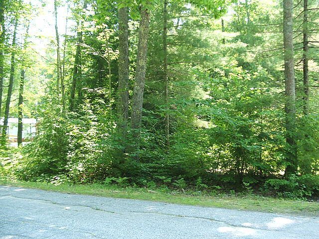 2nd image of Lot# 16 Roberts Street