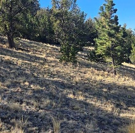 2nd image of 0 County Road 41g (Camero Road)