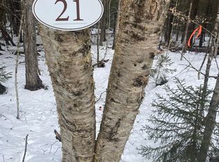 21 Crestbrook Pl, Springfield, NH 03284