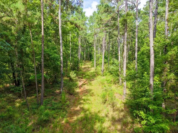 Pid 3819 8065 County Rd #227, Kennard, TX 75847