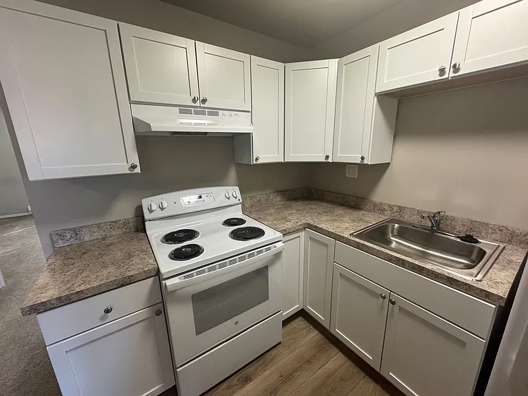203 E Chestnut Street — Photo 3