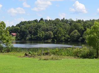 387 Windmill Rd, Van Buren, MO 63965