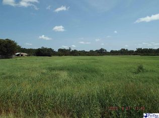 Tbd Temperance Hill Rd, Marion, SC 29571