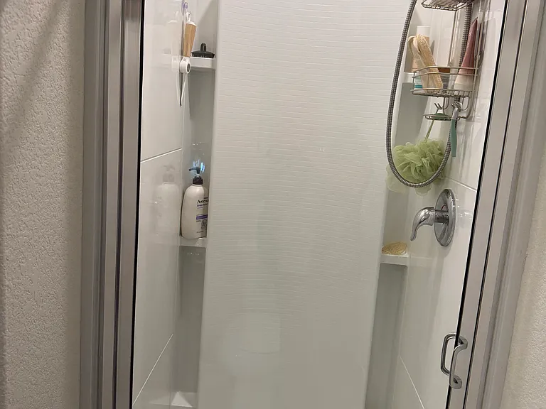 Master bath shower