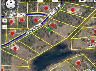 7114 Oatbird Rd, Weeki Wachee, FL 34613