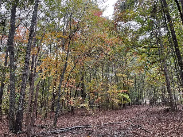 807 Rowe Rd, Senoia, GA 30276