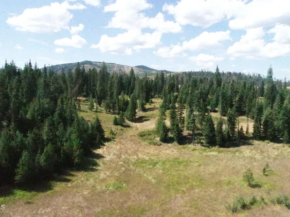 Nna Carpenter Creek Rd Lot 2, Fernwood, ID 83830
