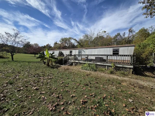 485 Hicks Rd, Guston, KY 40142