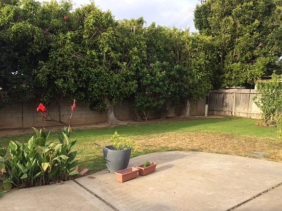 back yard