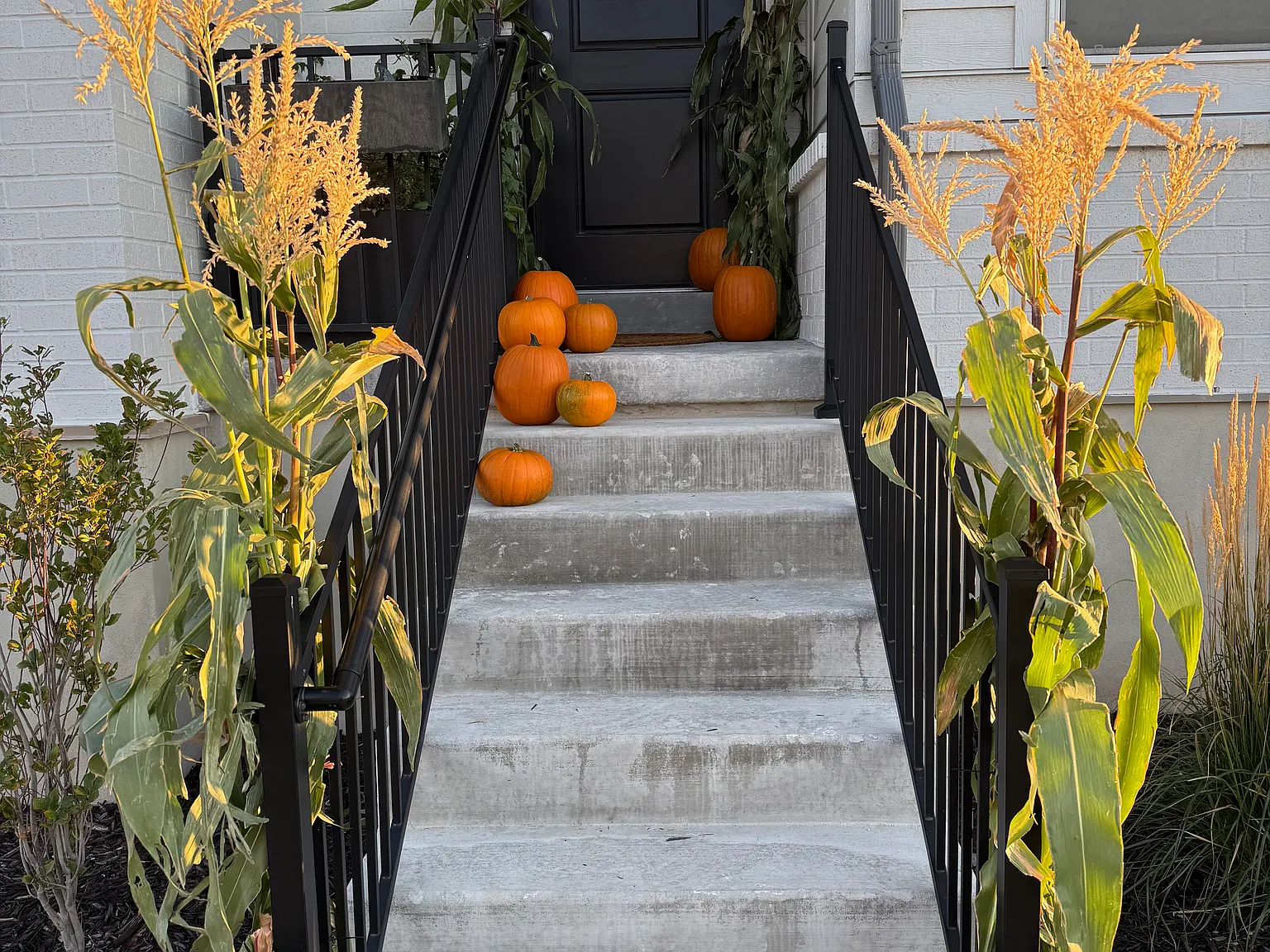 4 bed, 3.5 bath, 1695 sqft, $2,700 — Photo 2