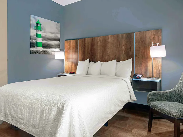 Studio Suite - 1 Queen Bed