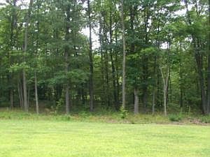 4th image of 0 Timberwood Lck
