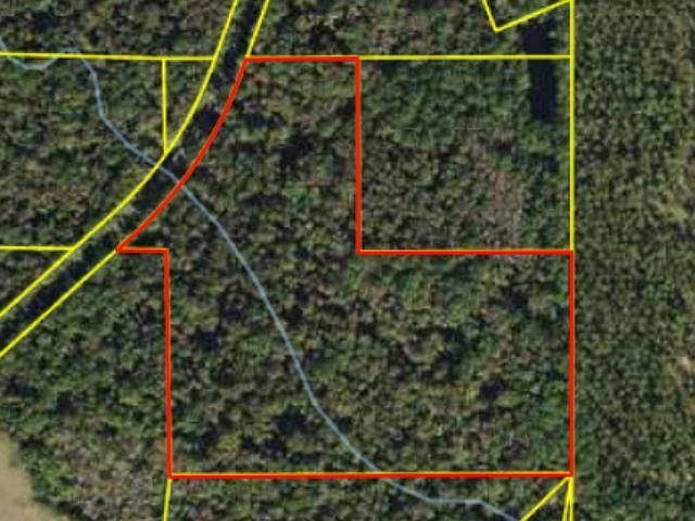 1st image of Cairo Concord Rd