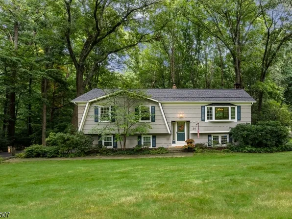 20 Edward Dr, Mount Olive Twp., NJ 07836
