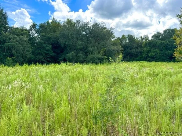 2311 Jackson St, Inverness, FL 34453