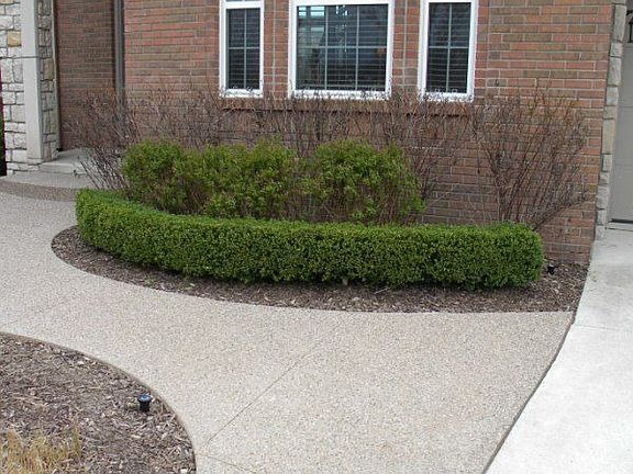 Aggregate Stone/Cement paths