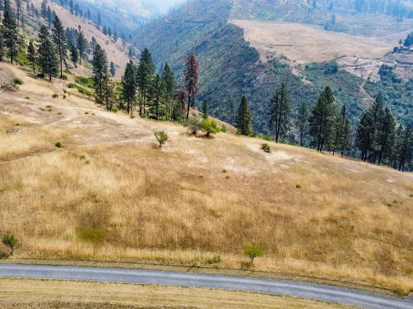 Larradon Dr, Kamiah, ID 83536