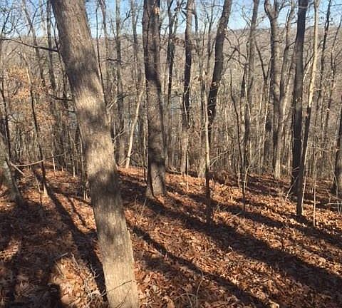 2nd image of Oakley Ln
