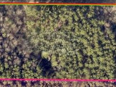 County Road 1453, Vinemont, AL, 35179