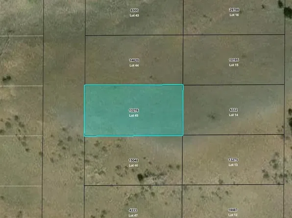 Willow Street LOT 45, Hartsel, CO 80449