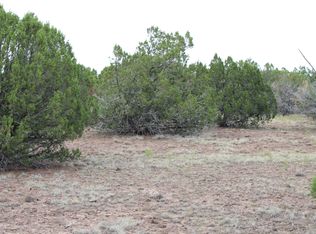 34 County Road 8077, Concho, AZ 85924