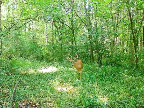 0 County Road 11, New Lexington, OH 43764