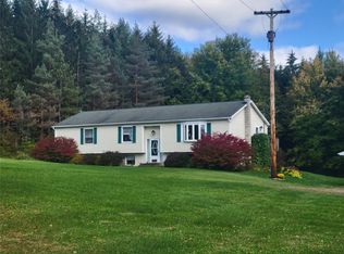 211 Palmer Hill Rd, Port Crane, NY 13833