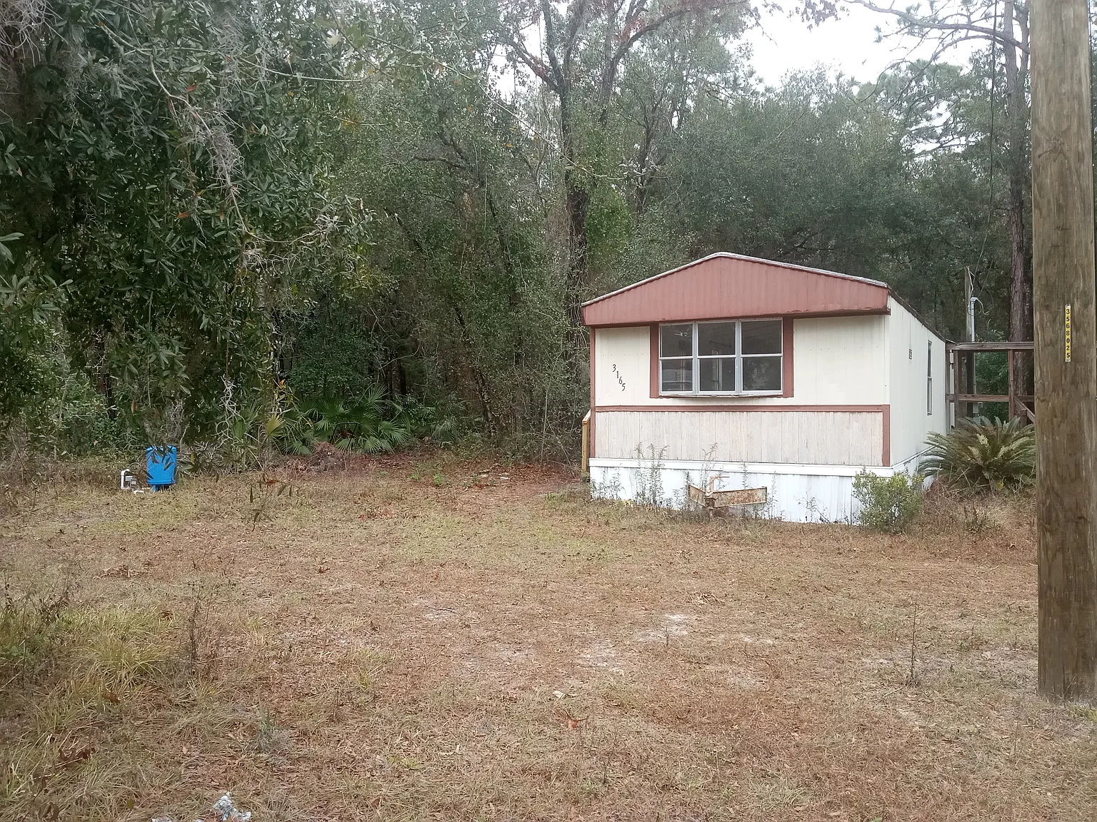 2 bed, 720 sqft, $1,100 — Photo 2