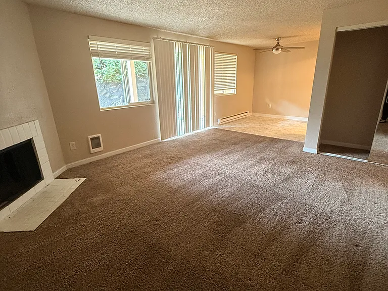 3909 Mason Loop Rd #1 — Photo 11