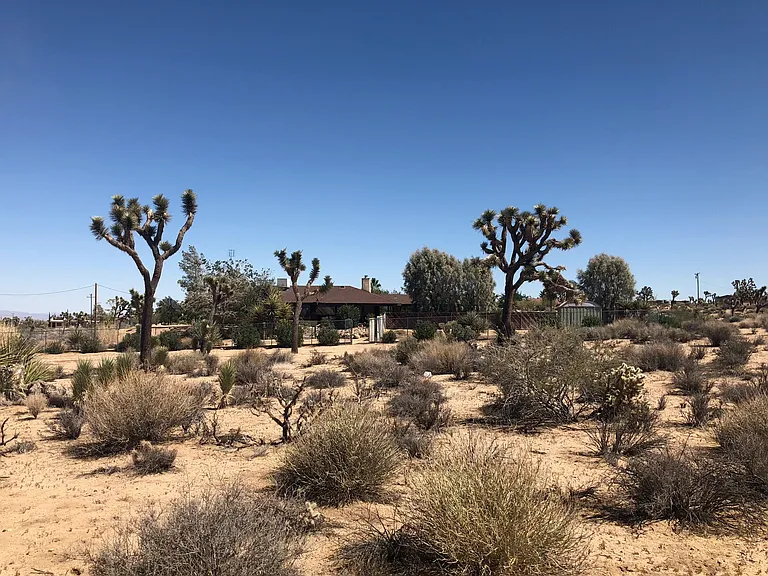 3788 Condalia Ave — Photo 8