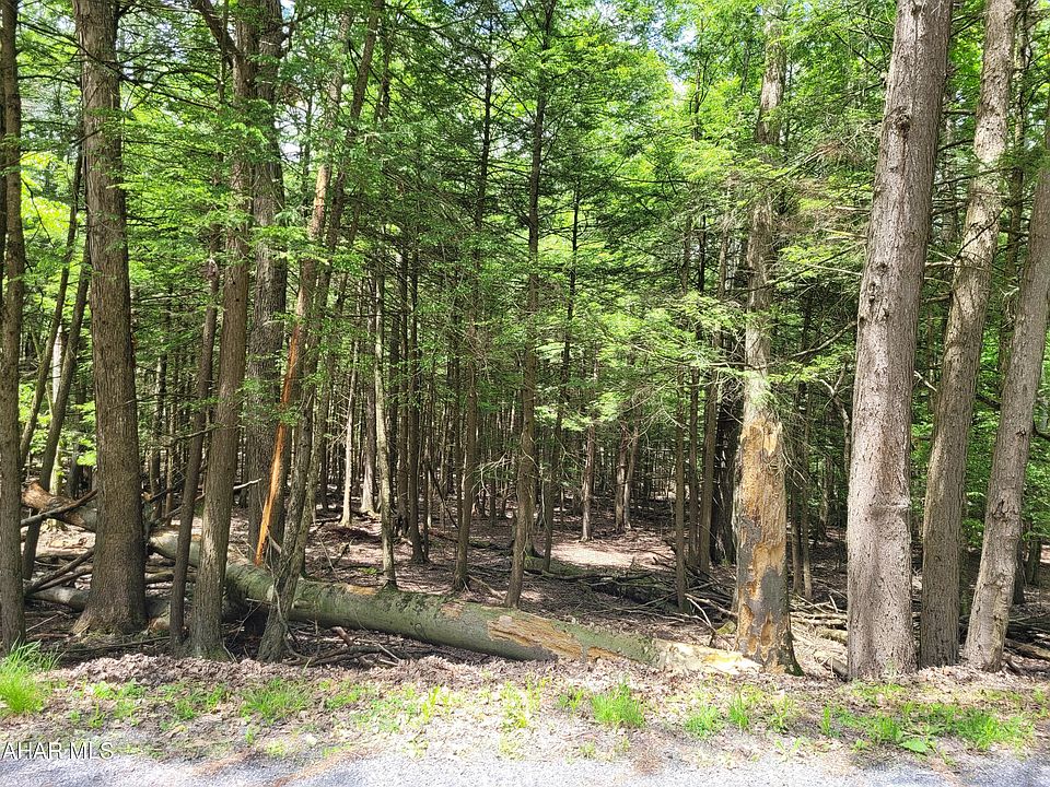 2nd image of 138 Red Oak Rd