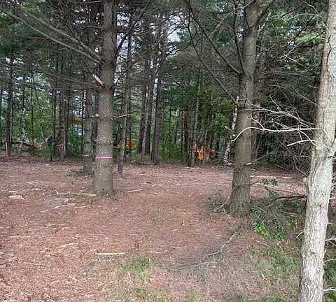 4th image of Lot 1 24 3/4 Street