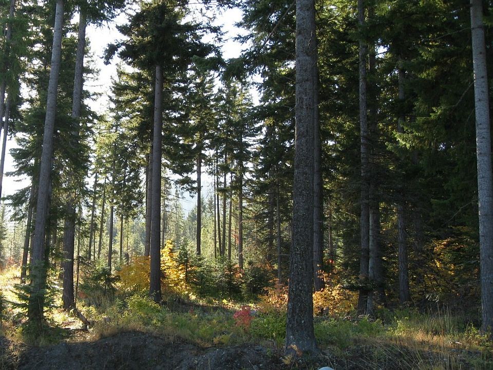 1st image of 0 Lot 5 Carmel View Lane