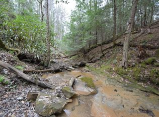 177 Mullins Point Rd, Campton, KY 41301