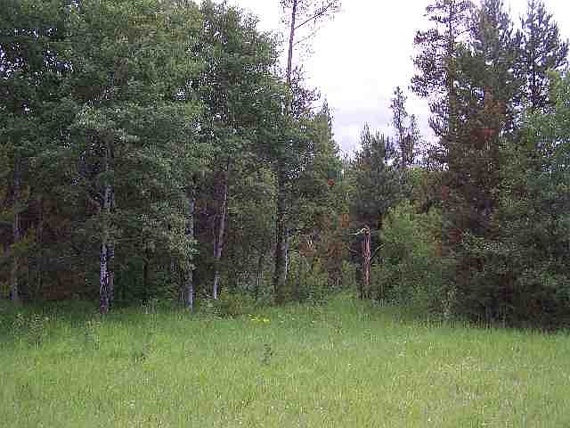 1st image of 83 Finn Church Ln