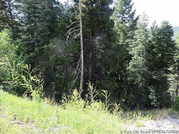 4th image of 400 Matterhorn Dr