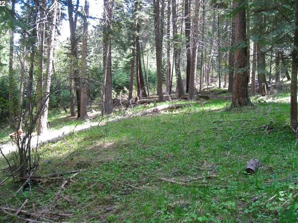 0 Tram Ln, Joseph, OR 97846