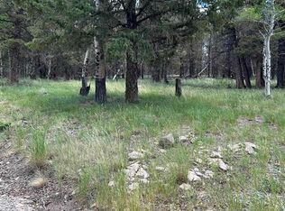 522 Monarch Rd., Powderhorn, CO 81243