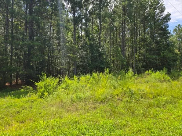 0 Shrine Club Rd, Waterloo, SC 29384