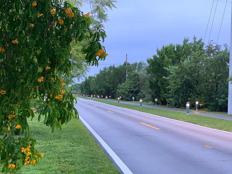 Miami Springs has beautiful walking and biking paths. This is just steps away from the house.